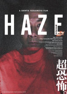 Affiche DVD Haze